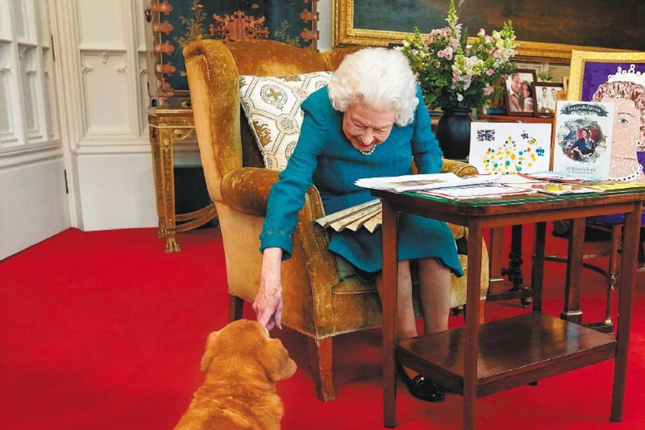 Foto tomada el 4 de febrero, la reina Isabel II con Candy. (Photo by Steve Parsons / POOL / AFP)