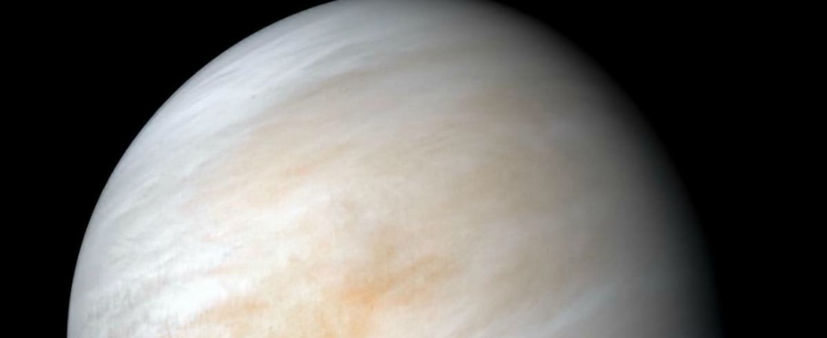 Venus se pone directo en Leo: 3 signos del zodiaco lo sentirán más que otros