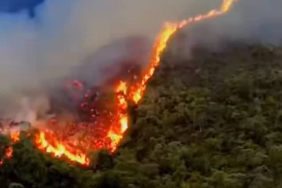 Captura de vidoe en redes sociales que registró la magnitud del incendio en Ábrego, Norte de Santander.