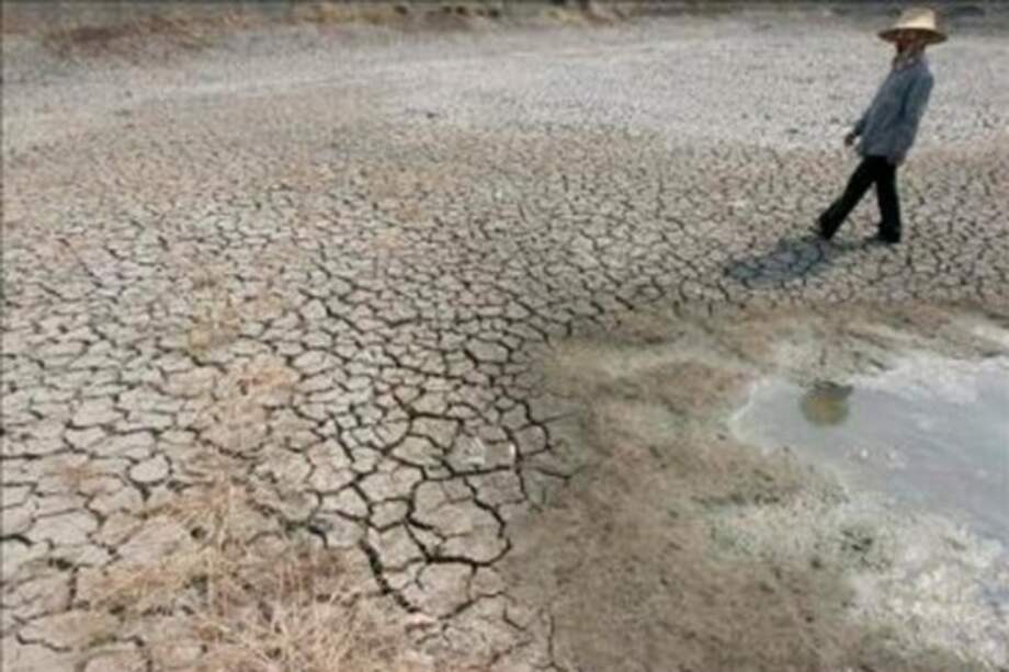 Sequía en Venezuela pone en riesgo el 20% de la ganadería