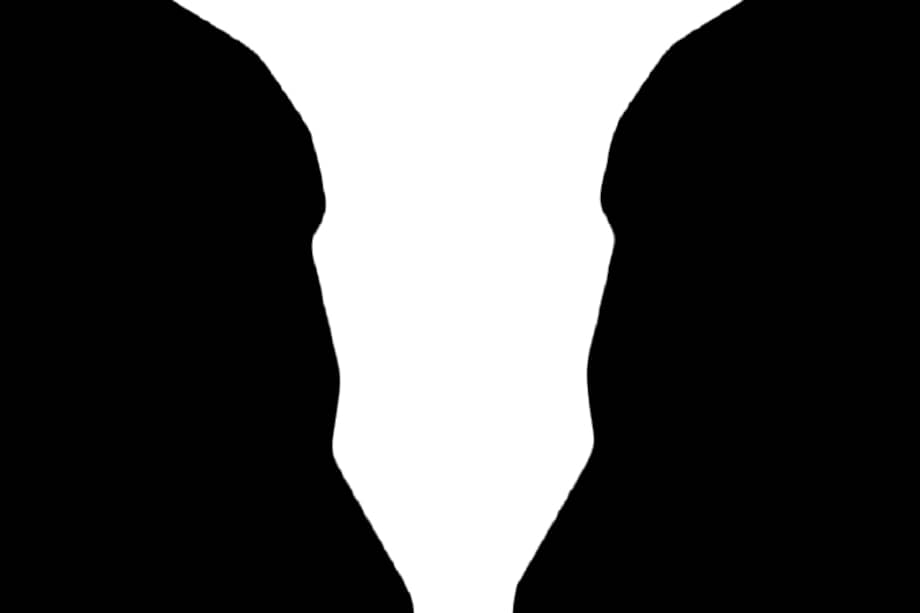 Mitos y verdades sobre el cerebro