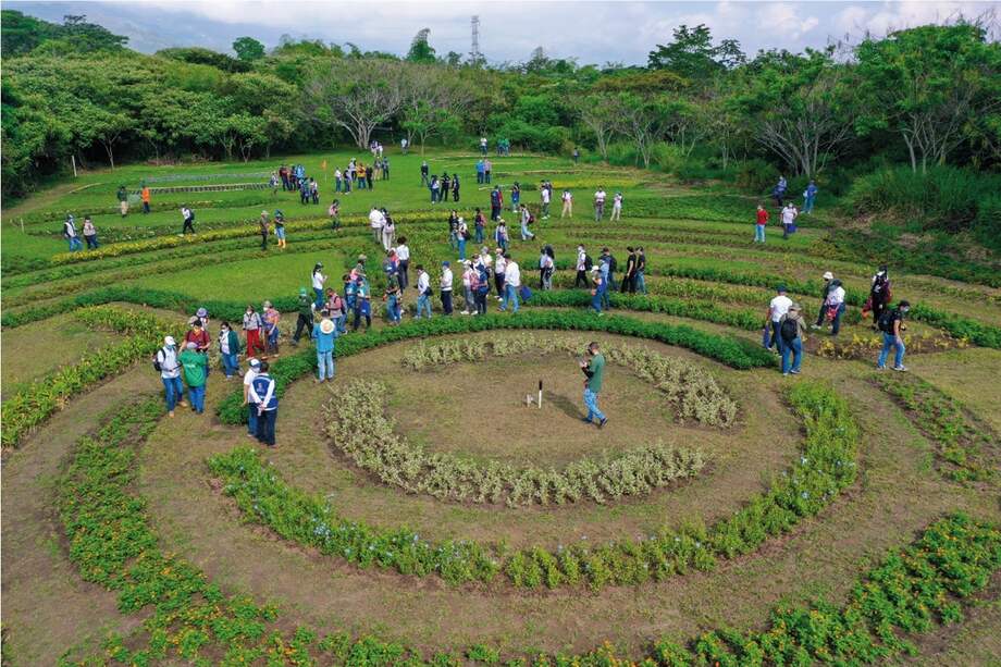 El equipo de trabajo, liderado por el alcalde Jorge Iván Ospina, lo conforman biólogos, arquitectos, sociólogos, ingenieros ambientales, entre otros profesionales.