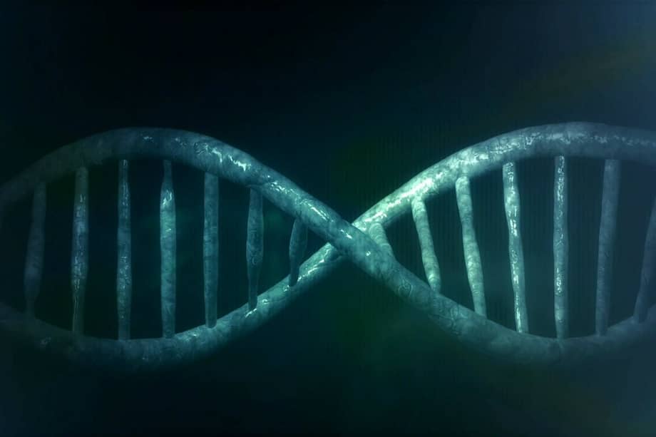 La funeraria vienesa Bestattung Wien ofrece a sus clientes joyas que integran ADN tomado de células de parientes fallecidos. / Pixabay