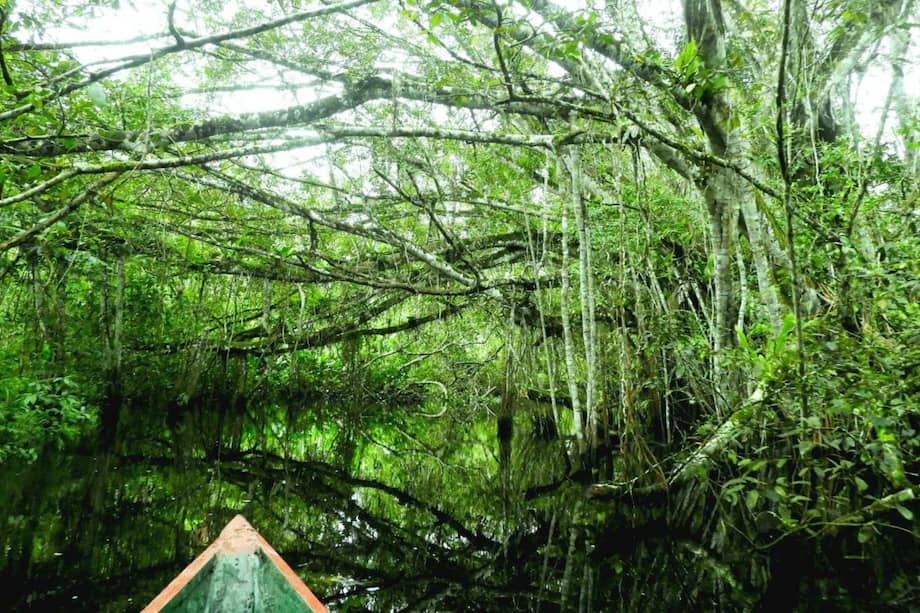 Esta reserva se encuentra en la Amazonía, región con 7,4 millones de km2, lo que representa el 4,9% del área continental mundial, y cubre extensiones de Bolivia, Brasil, Colombia, Ecuador, Guyana, Perú, Surinam y Venezuela.