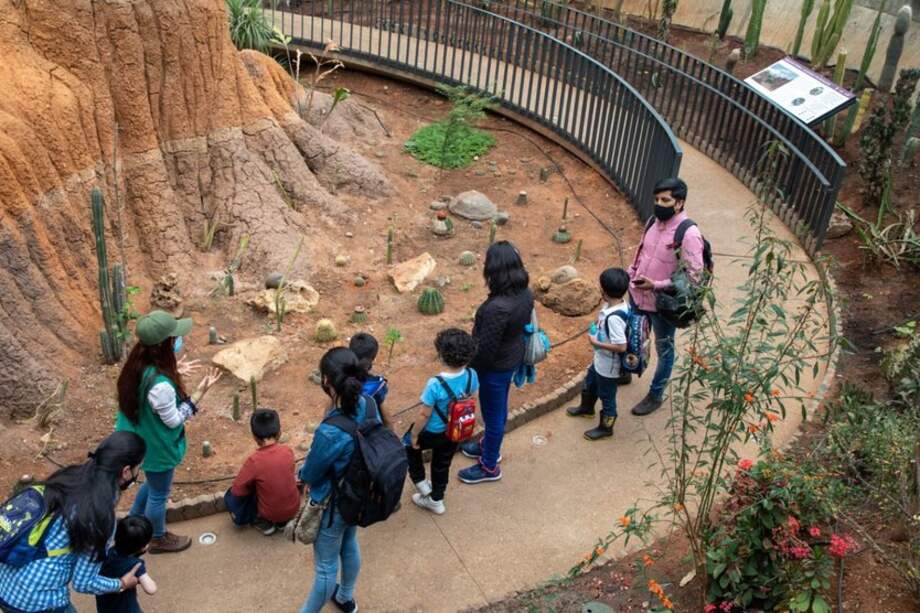 Jardín Botánico abre convocatoria para semillero de futuros botánicos y científicos.