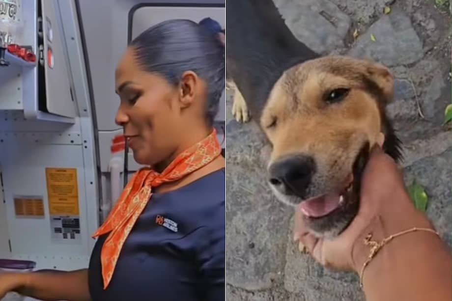 La acción, grabada y compartida en redes, abrió un debate sobre el papel que pueden jugar los gestos individuales en causas sociales.