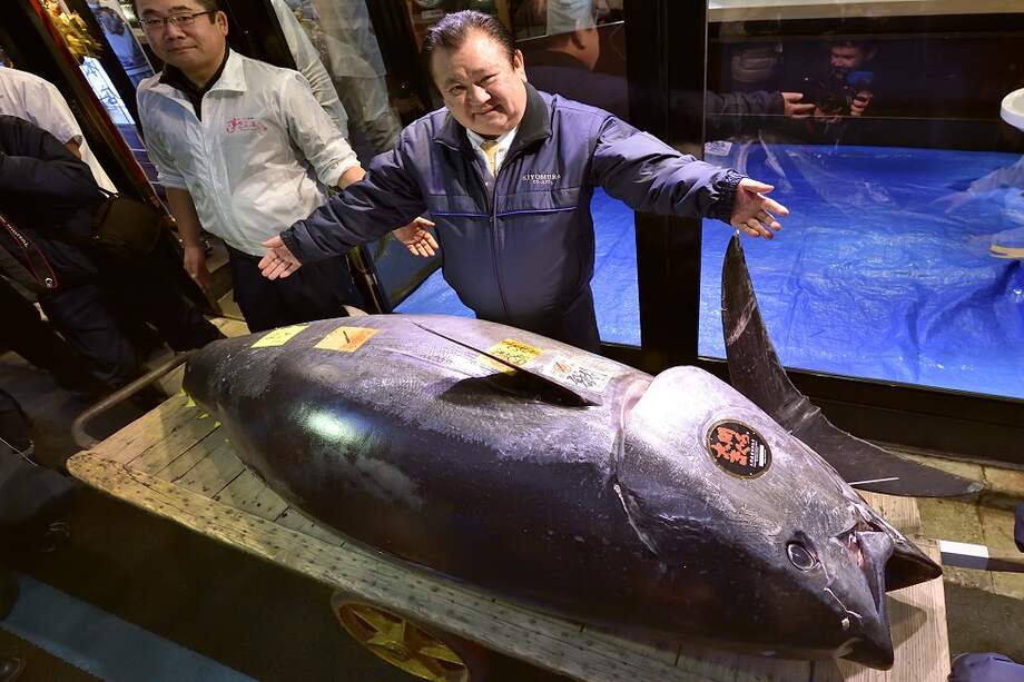 Un récord de $ 3.1 millones se pagó por un atún gigante el 5 de enero, ya que el nuevo mercado de pescado de Tokio, que reemplazó al mundialmente famoso Tsukiji a fines del año pasado, realizó su primera subasta de Año Nuevo antes del amanecer. / Kazuhiro NOGI / AFP