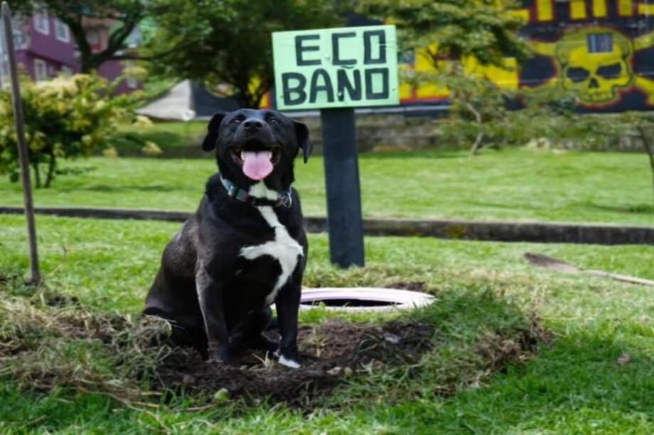 Más de 30 personas de la localidad de San Cristóbal trabajaron en la creación de los eco-baños.