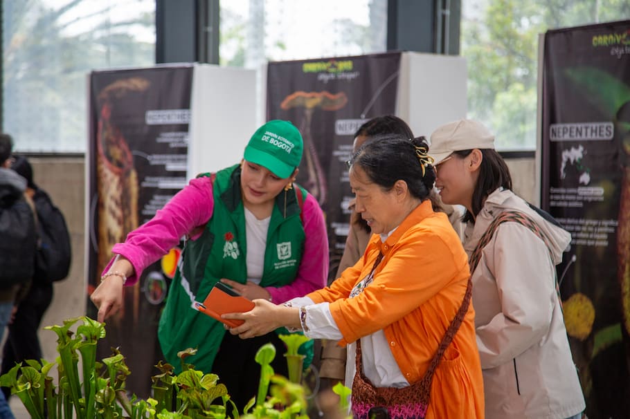 La dieta planetaria no es solo una buena opción para cuidar de tu cuerpo, sino también del planeta.