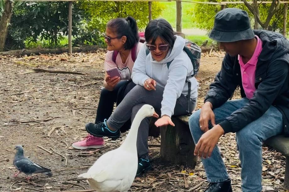 Defensores del santuario piden a la administración distrital revisar la decisión de desalojo.