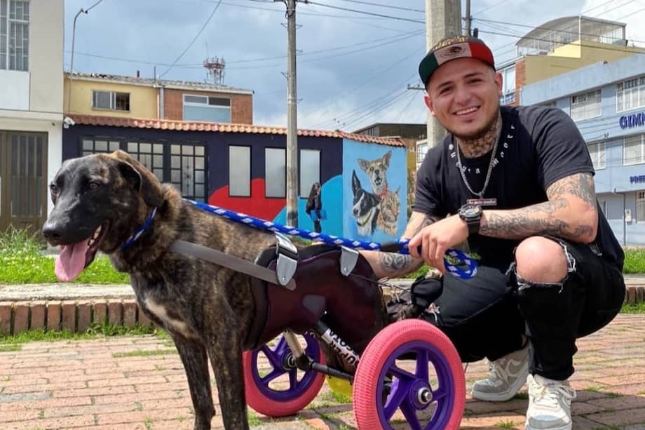 Él es Juan Camargo el fundador de Super Mascotas, un negocio que diseña sillas de rueda, prótesis y ortesis para animales en condición de discapacidad.