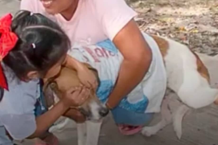 Mientras el procedimiento avanzaba, ella permaneció a su lado, transmitiéndole calma.