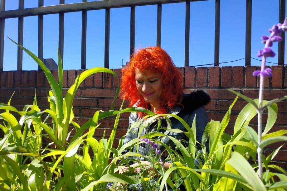 Esta huerta existe desde el 2014 y reúne más de 100 personas mensualmente.