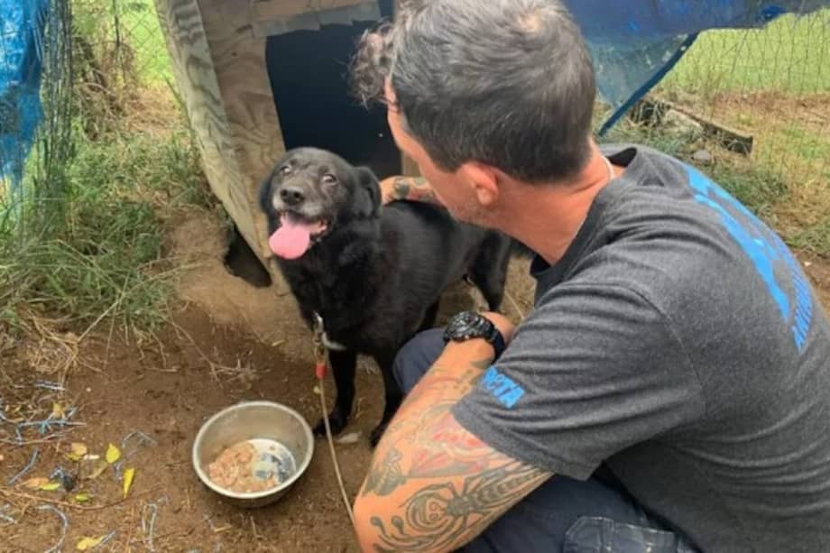 Rusty finalmente puede disfrutar de sus años dorados con comodidad.