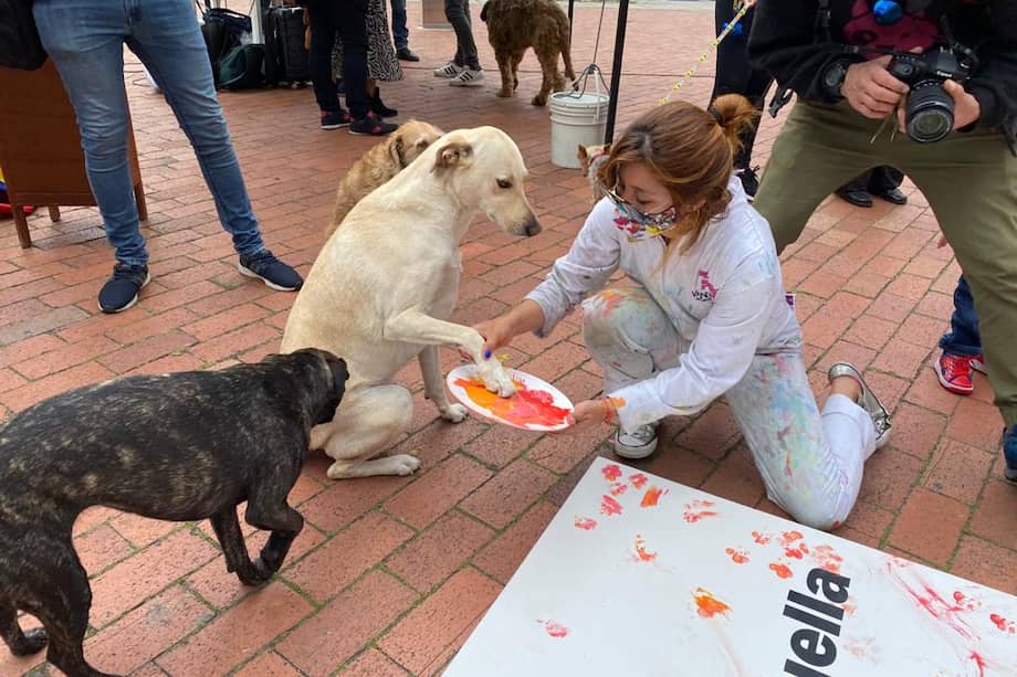 El Distrito invitó a todas las personas, grupos, colectivos, fundaciones y centros de atención veterinaria a postularse como candidatos al Consejo Local de Protección y Bienestar Animal.
