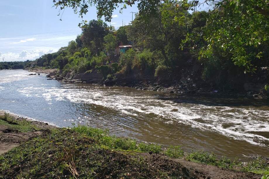 La cuenca del río Bogotá ocupa 589.143 hectáreas, donde habitan 542 especies de animales y 169 de plantas; 32% del PIB del país se genera allí.