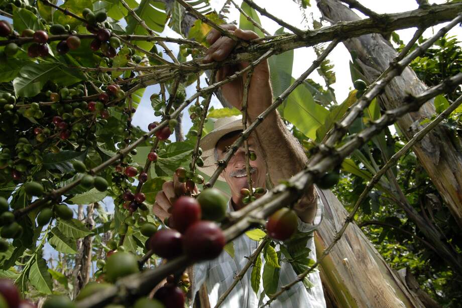 Archivo - El Espectador