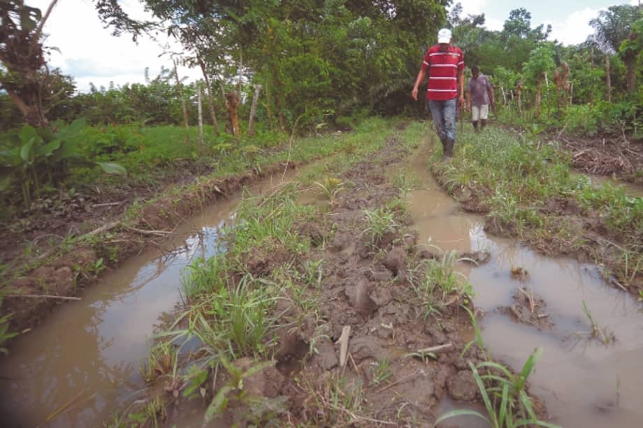 Estado actual de algunas vías que los campesinos arreglaron y que los palmeros deterioraron. / Cristian Garavito