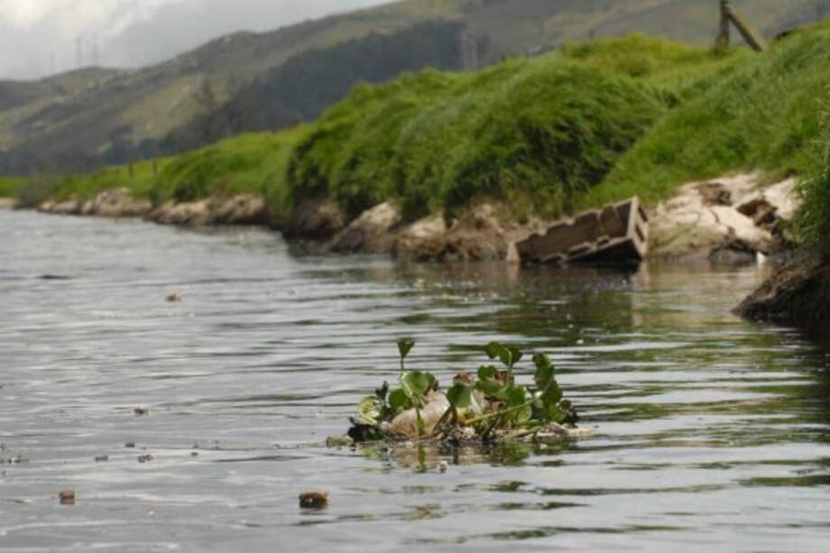 Residuos y desechos que llegan al río Bogotá producen arsénico