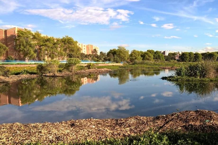 En Bogotá hay 15 humedales los cuales son considerados como reservas naturales de la capital del país.