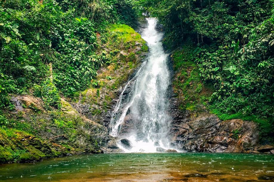 Reserva Natural Y Ecoturística La Avispa, uno de los destinos que ofrece Caqueta.Travel.