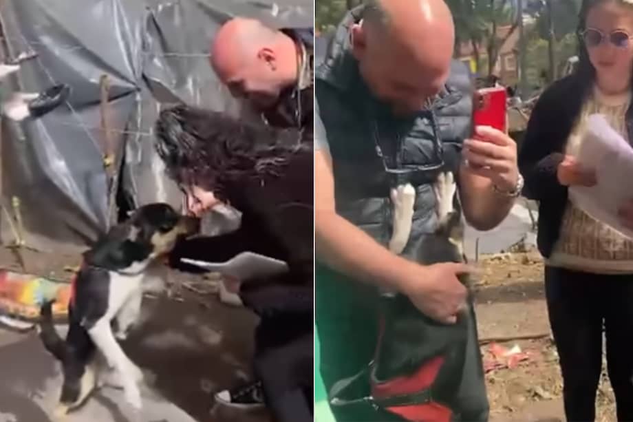 Las autoridades recomiendan no acercarse al parque con animales de compañía mientras se hace todo el operativo.