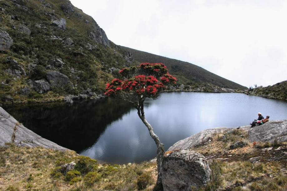 La empresa Eco Oro (antes Greystar) planeaba explotar 12 millones de onzas de oro en el Páramo de Santurbán.