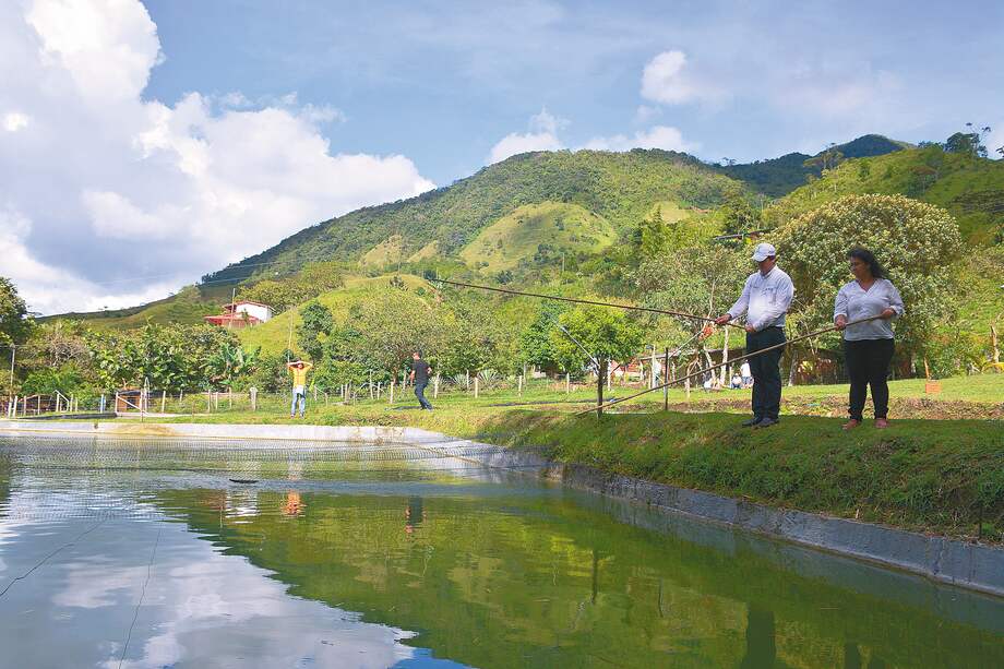 La piscicultura se ha convertido en una de las formas en la que los campesinos invierten los recursos de los proyectos productivos. / / Unidad de Restitución de Tierras.