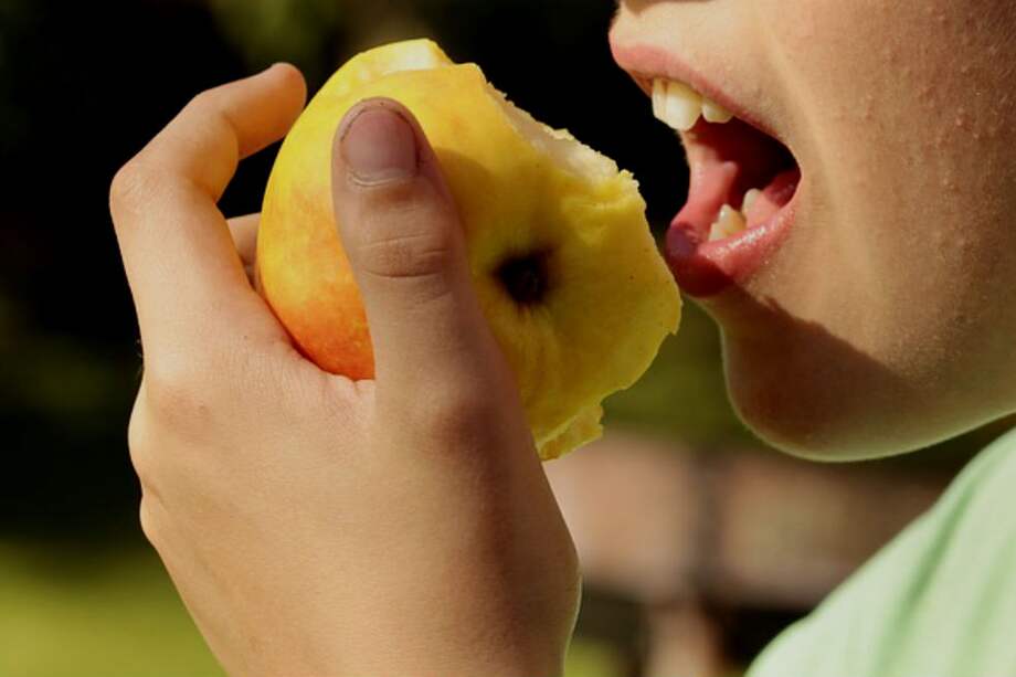 Tomada de Pixabay/Referencia