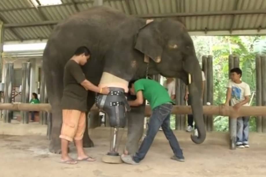 / Youtube: info news