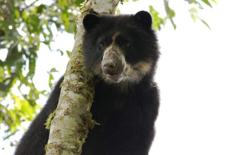 Imagen de referencia. / Santiago Ron - Flickr CC.