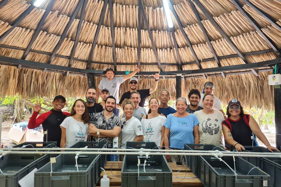 Se trata de una dinámica entre el sector privado y una organización independiente que se enfoca en el cuidado y protección del medio ambiente.