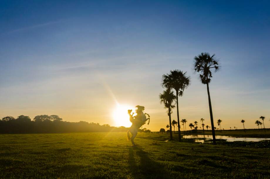 En el portal de colombia.travel se encuentra cada catálogo, en donde, además se tiene la oportunidad de encontrar nuevos nichos en cada producto.