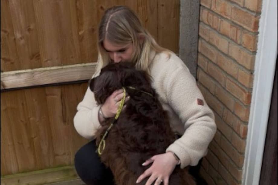 La perra Flora fue identificada tras escanear su microchip.