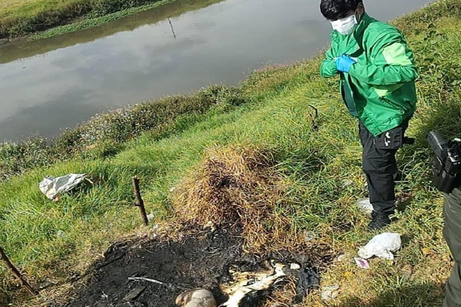 Los hechos ocurrieron en inmediaciones del barrio Santa Cecilia el jueves 8 de enero de 2026.