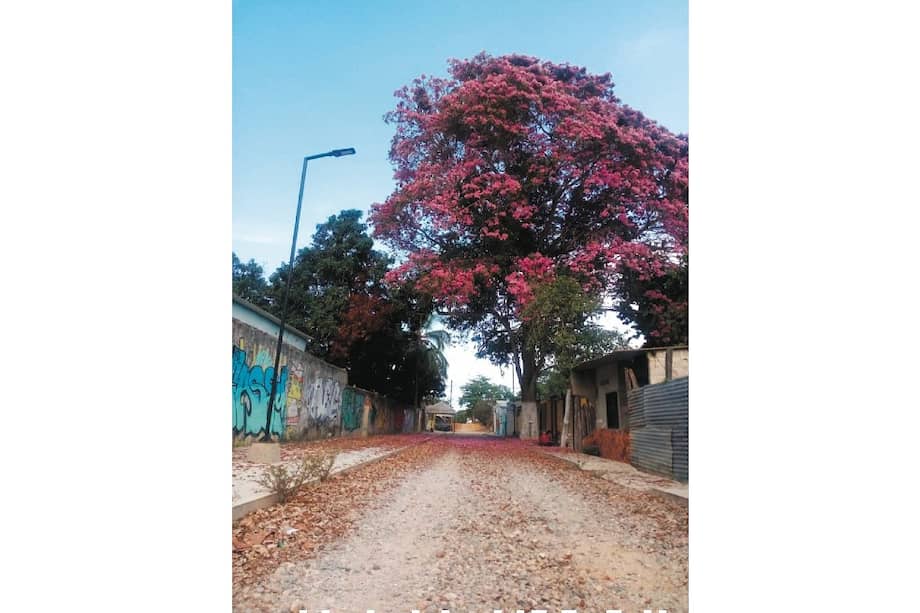 Palomino, La Guajira