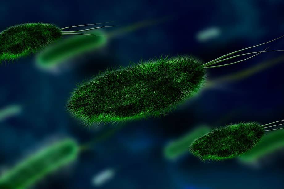 Tomada de Pixabay/Referencia