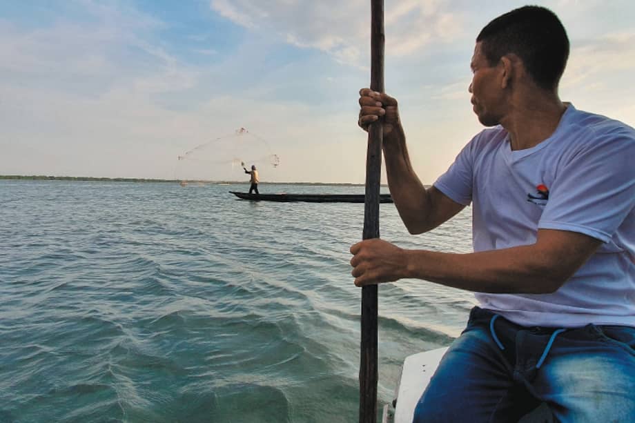 “Pese a inversiones millonarias, Ciénaga Grande de Santa Marta está en UCI”