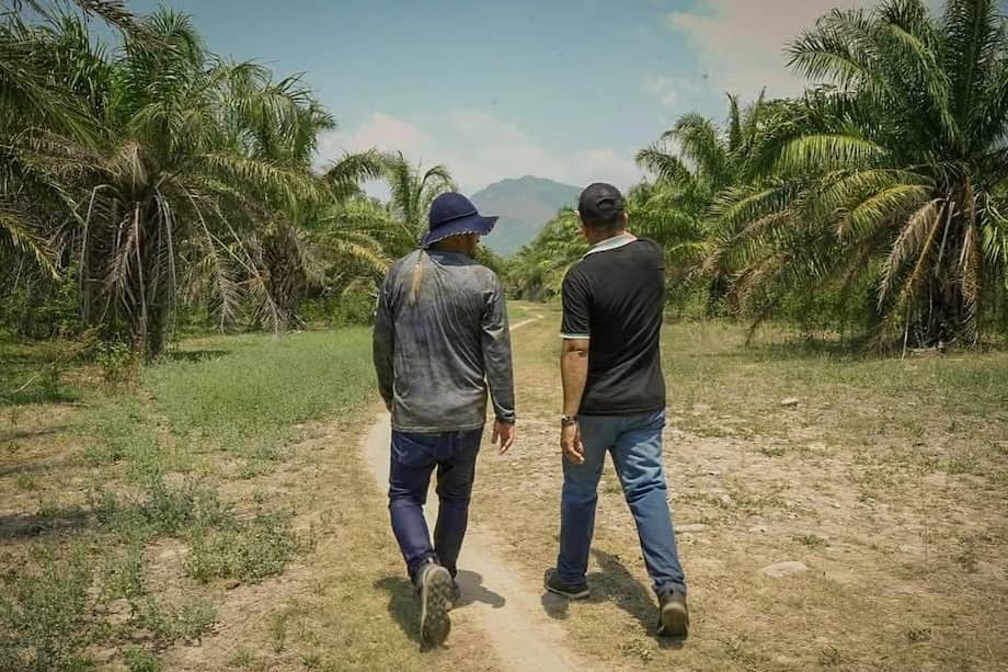 El concepto de la Agencia Nacional de Tierras señala que el predio tiene potencialidades para ganadería y cultivos semestrales.