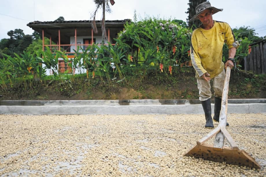 Según el DANE, en Colombia, a marzo de 2023, hay 15.226.000 personas que se identifican como campesinas.