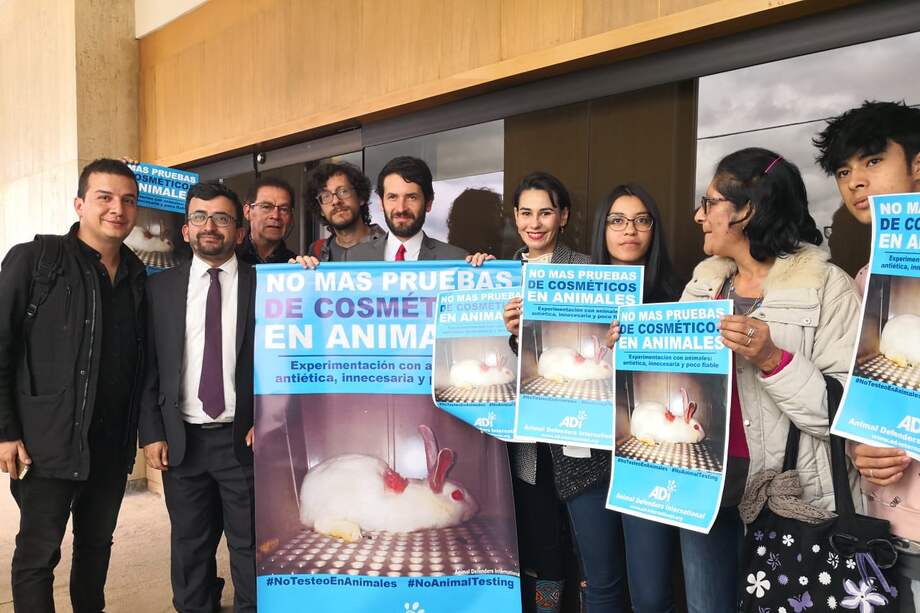 La iniciativa fue construida junto Animal Defenders International (ADI). / Prensa Juan Carlos Losada