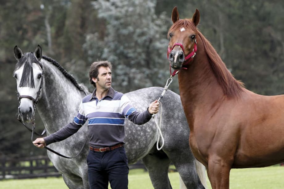 Los caballos de Pablo Hermoso de Mendoza viven como reyes