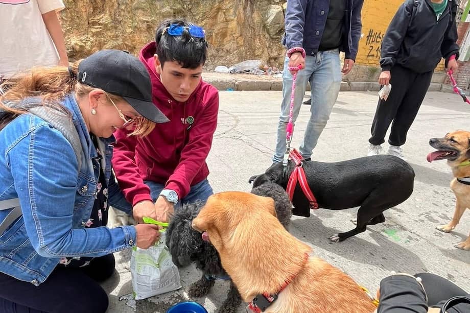 Durante la jornada, los voluntarios entregaron alimento y realizaron tareas de construcción, adecuación y mejoramiento de espacios.