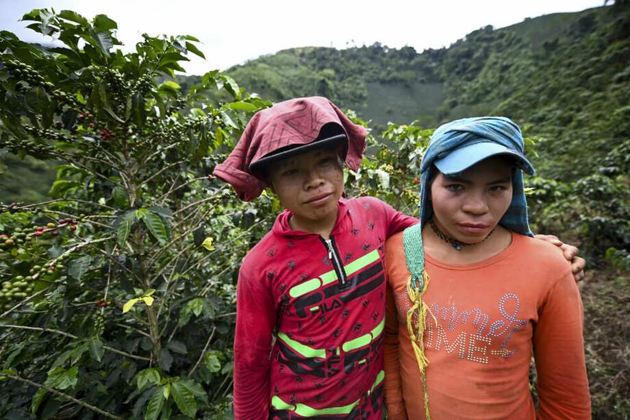 Las primeras indígenas transgénero llegaron a Santuario hace aproximadamente seis años. Hoy son cerca de 50, según un conteo del investigador y antropólogo Jairo Tabares. No existe un censo oficial. / Raúl Arboleda (AFP)