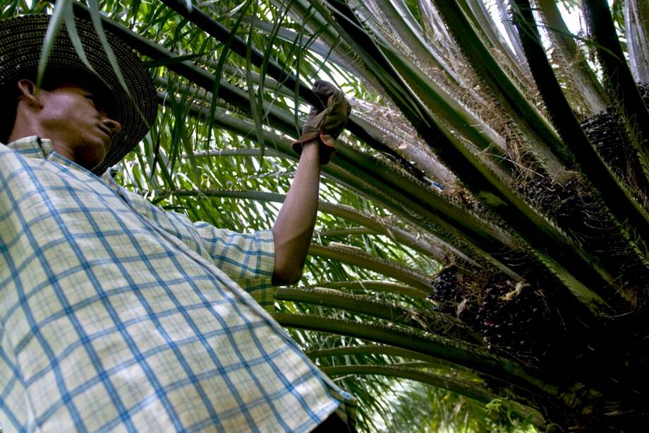 El sector agropecuario contribuyó al crecimiento del PIB. / Bloomberg