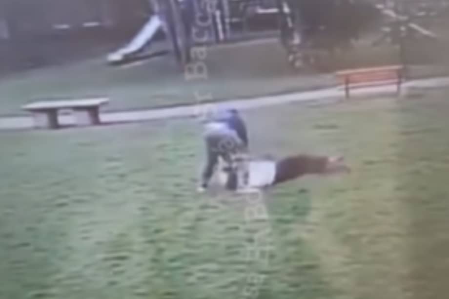 Hombre agredió a una mujer y a su mascota.