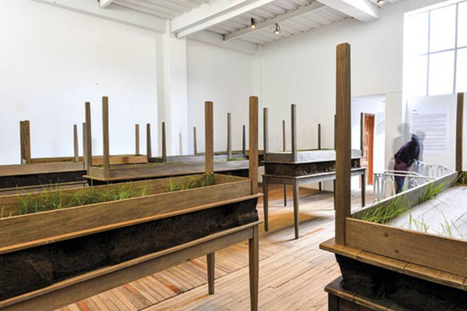 Doris Salcedo vuelve con una obra sobre los «falsos positivos»