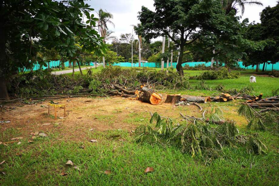 Twitter @Exbrigadier