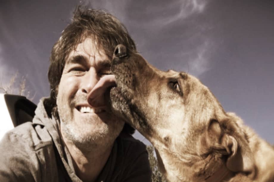 Camilo Arévalo, asesor canino y experto en gestión del comportamiento en perros, afirma que uno de los principales motivos por los cuales los perros lamen a sus propietarios es por afecto.