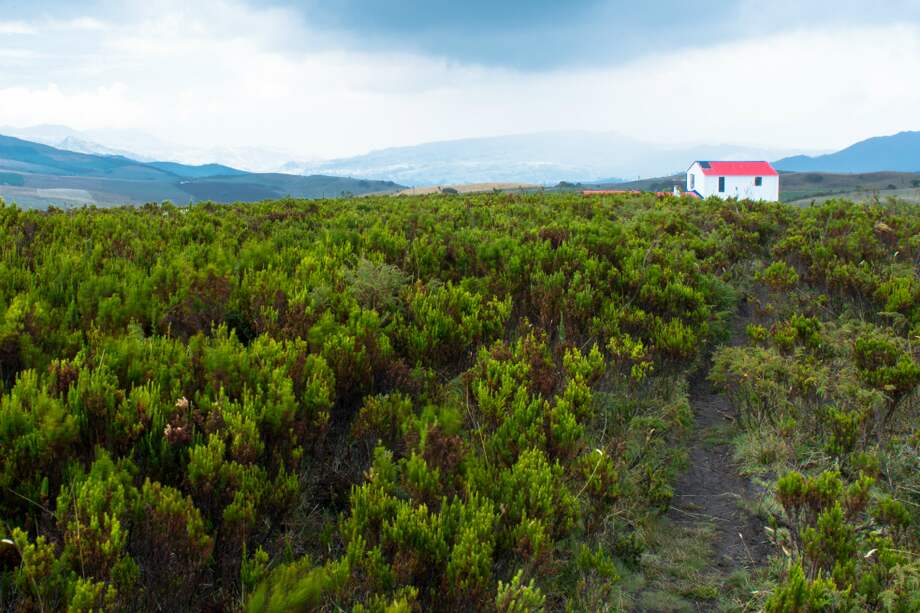 La última casa de Bogotá tiene 100 metros cuadrados y está ubicada en el municipio de Usme, en la vereda Curubital. / / David Schwarz